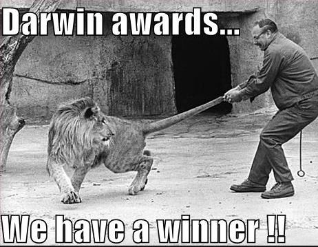 darwin-awards.jpg